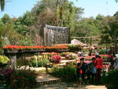 COMERCIO - FLORES JARDIN